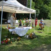 Eingesendet. Vereinsnachrichten aus dem Bezirk