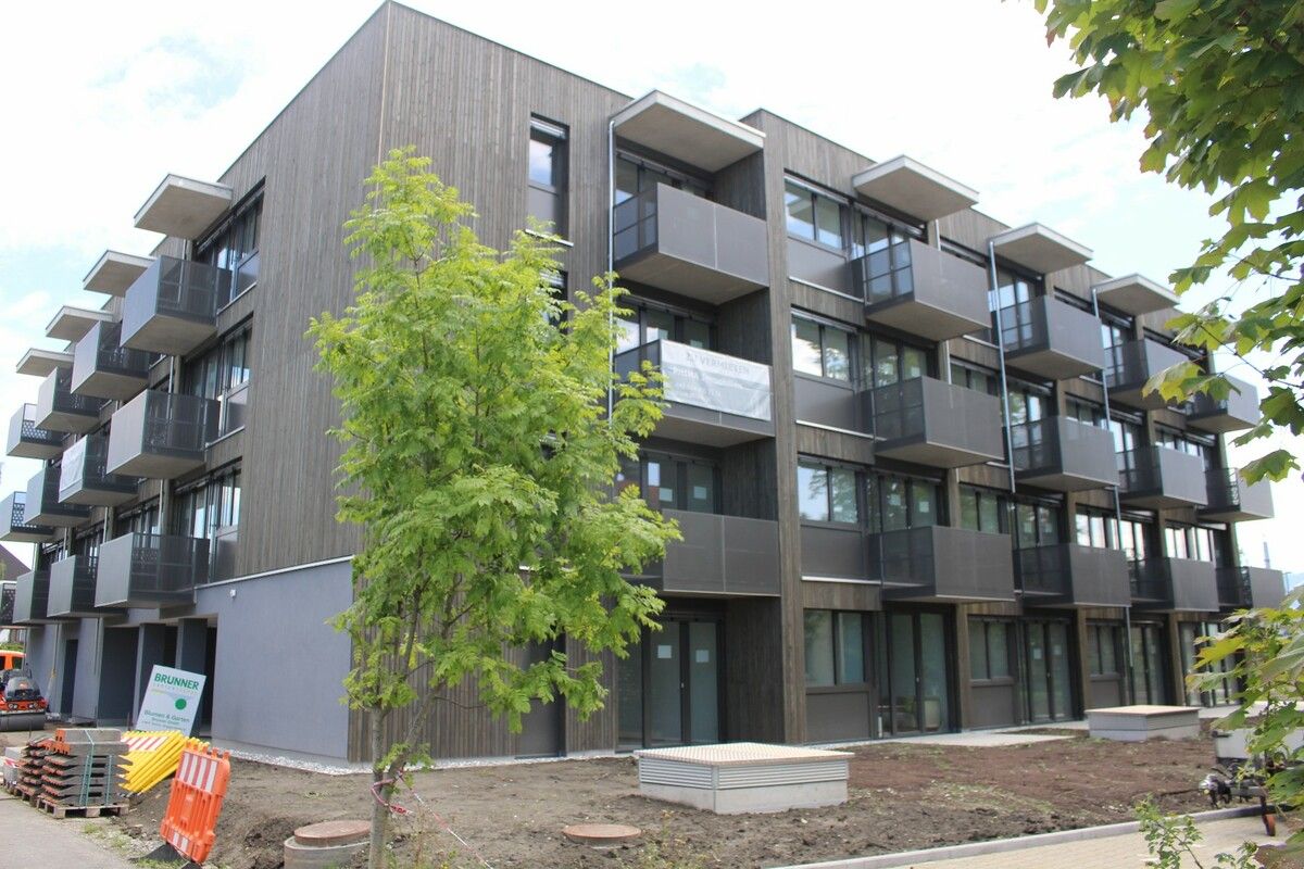 Im Herbst soll das Micro-Living-Projekt an der Harder Rheinstraße („Betonstraße“) mit 42 Wohnungen bezogen werden. STP (3)