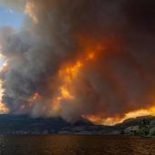 Waldbrände versetzen Teneriffa bis Kanada in Ausnahmezustand