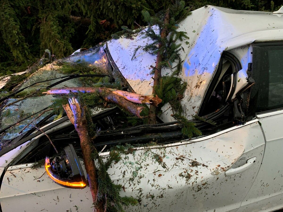 In St. Florian am Inn krachte ein Baum auf das Auto einer 24-Jährigen. Die Frau musste von der Feuerwehr befreit werden. APA