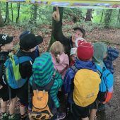 Der Wald wurde für Schulkinder zum Klassenzimmer