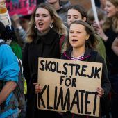 Fünf Jahre Klimastreik