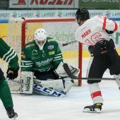 Pioneers und Wälder auf dem Eis
