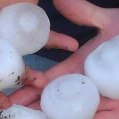Hagelunwetter in Bayern tötete Rehe, Störche und Katzen
