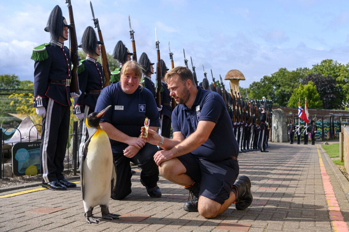 Sir Nils Olav hat einen steilen Aufstieg hinter sich. Jetzt ist er Generalmajor.AP