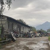 Erneute Tierschutzanzeige gegen Bauernhof