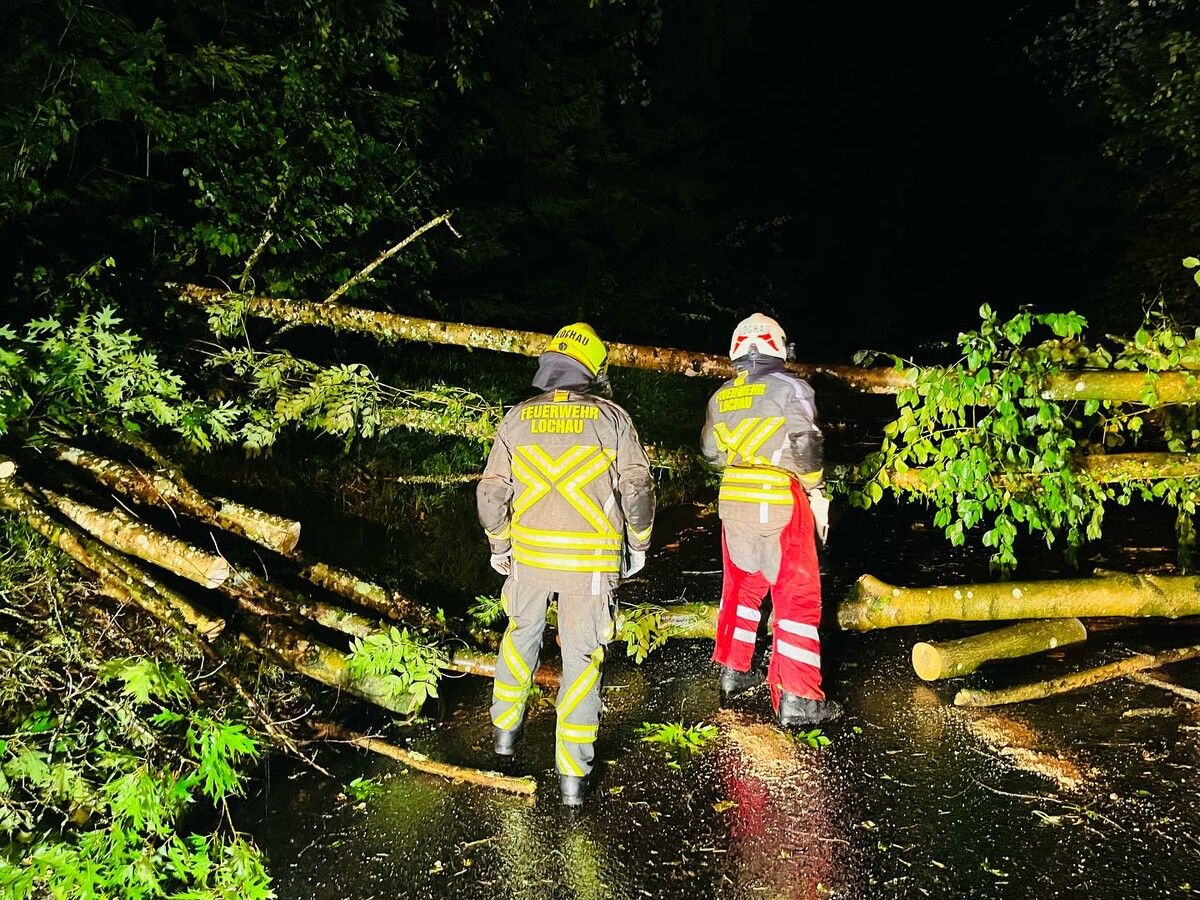 Wie in vielen Gemeinden verlegten umgestürzte Bäume auch in Lochau Straßen. feuerwehr Lochau. fw lochau