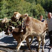 Dornbirner Alpabtrieb beginnt klein