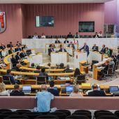 Hoffnung für Reform? Neuer ­Anlauf für strengere Kontrolle