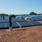 Förderung für Solar und Gründächer