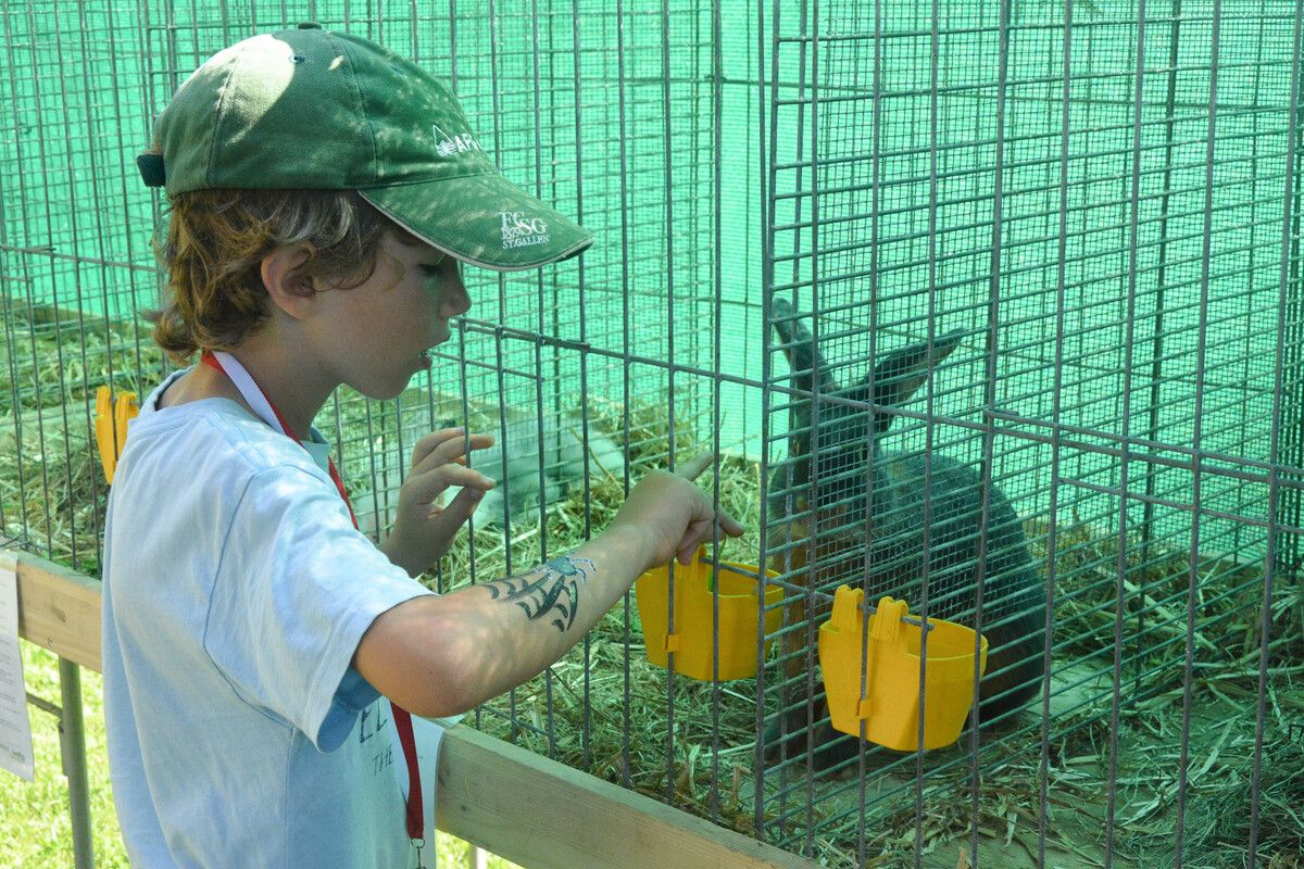 Freiland- und Werbeschau auf dem Gutshof Heidensand in Lustenau. VN/ARCHIV