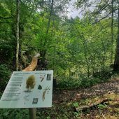 Rundweg um das Biotop neu angelegt