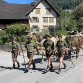 Gelungener Alpsommer in Satteins gefeiert
