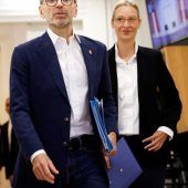 Schulterschluss zwischen FPÖ und AfD