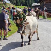 Die Schönste und die Fleißigste