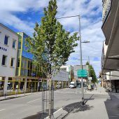 Bludenz kämpft gegen den Klimawandel
