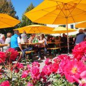 Großes Finale mit Jazz-Blues-Dixie-Formation