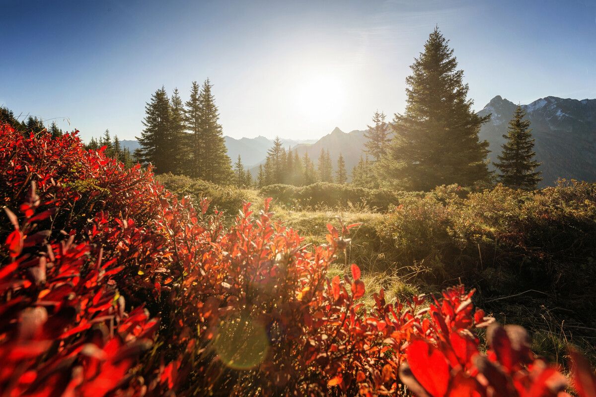 Die Wanderung ist gerade jetzt im Herbst schön.