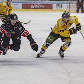 Startschuss für die Pioneers Vorarlberg
