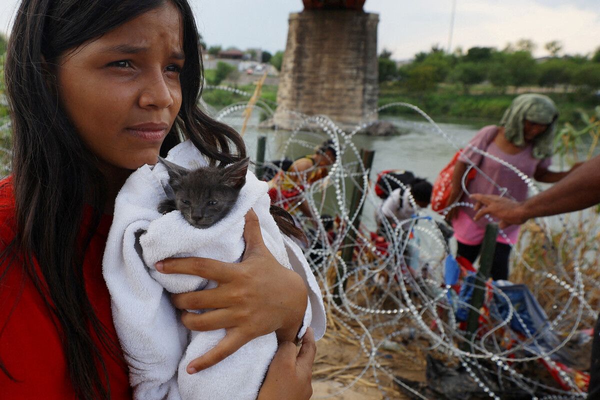 Eine Migrantin aus Venezuela, die in den US-Staat Texas gelangen will, hält eine Katze namens „Grey“, die sie unterwegs aufgenommen hat. Reuters