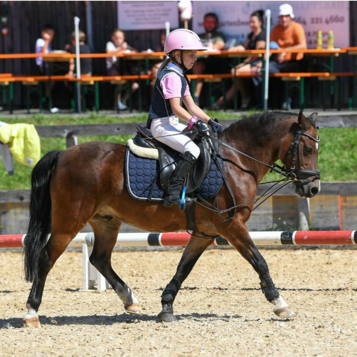 Elina Burtscher hat ihren Willi gut im Griff. Waschbär/3