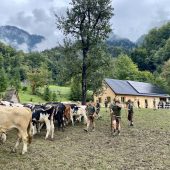 Alpfest in Hohenems