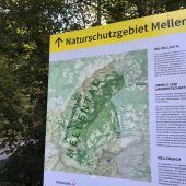 Widerstand gegen Kraftwerkspläne zu groß