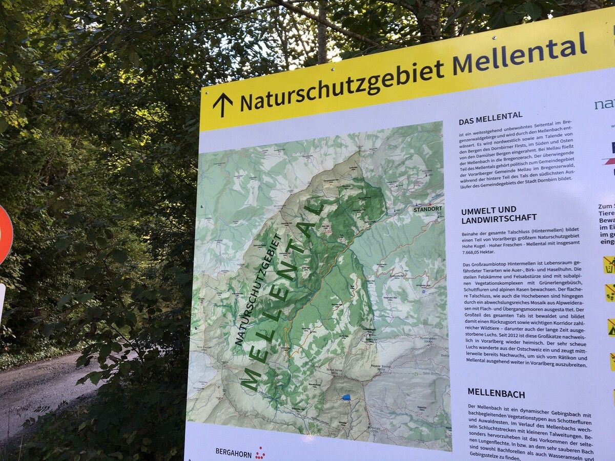Das geplante Kleinwasserkraftwerk grenzt an das Naturschutzgebiet Mellental. illwerke vkw überarbeiten aktuell die Pläne, was auch Auswirkungen auf den Zeitplan hat.