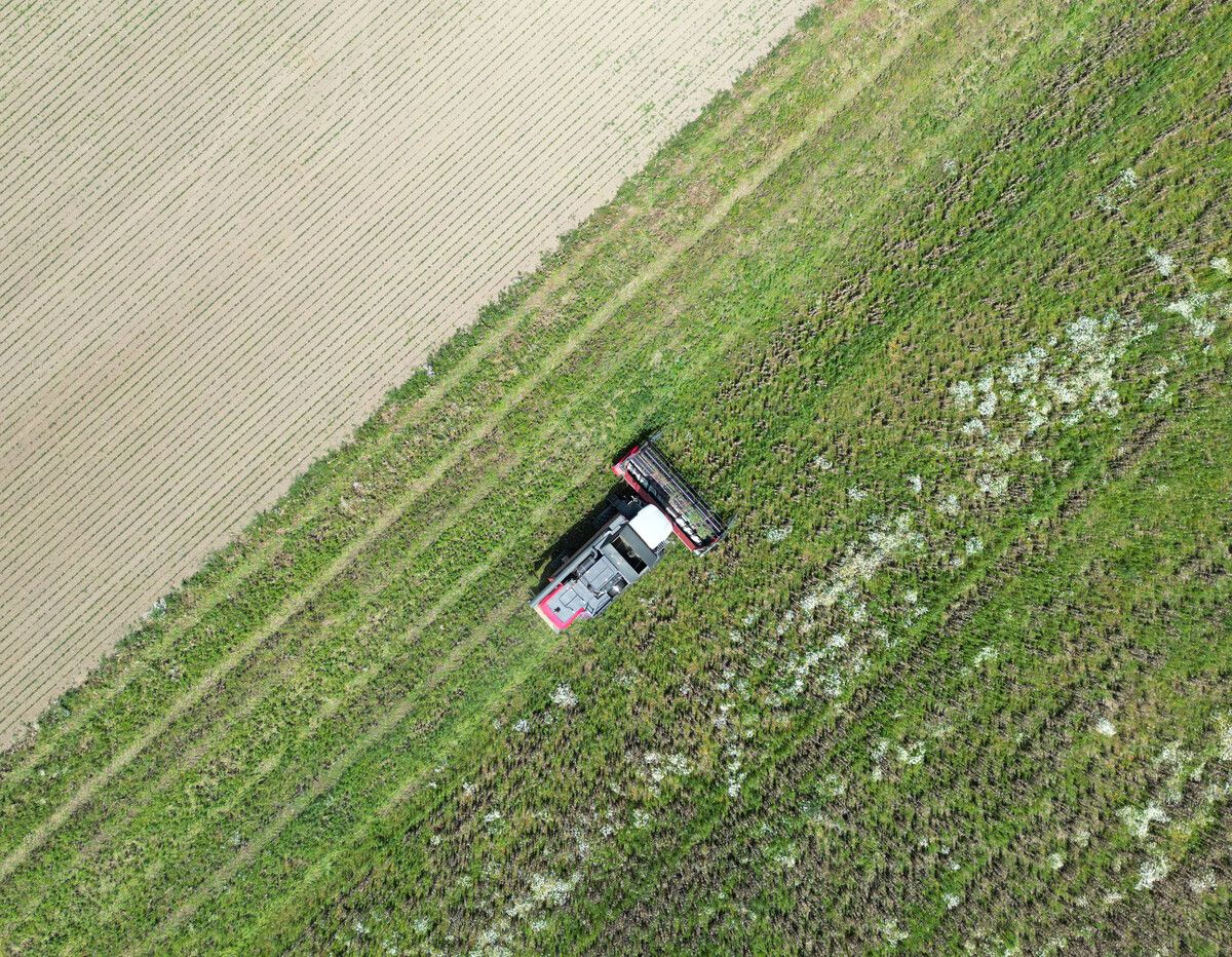In Österreich gilt ein Teilverbot. In der Landwirtschaft ist der Einsatz erlaubt. APA/Fohringer