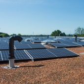 Förderung für Photovoltaik und Dachbegrünungen