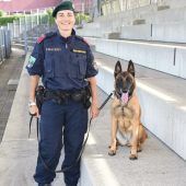 Polizeihündin „Safira“ spürte Einbrecher auf