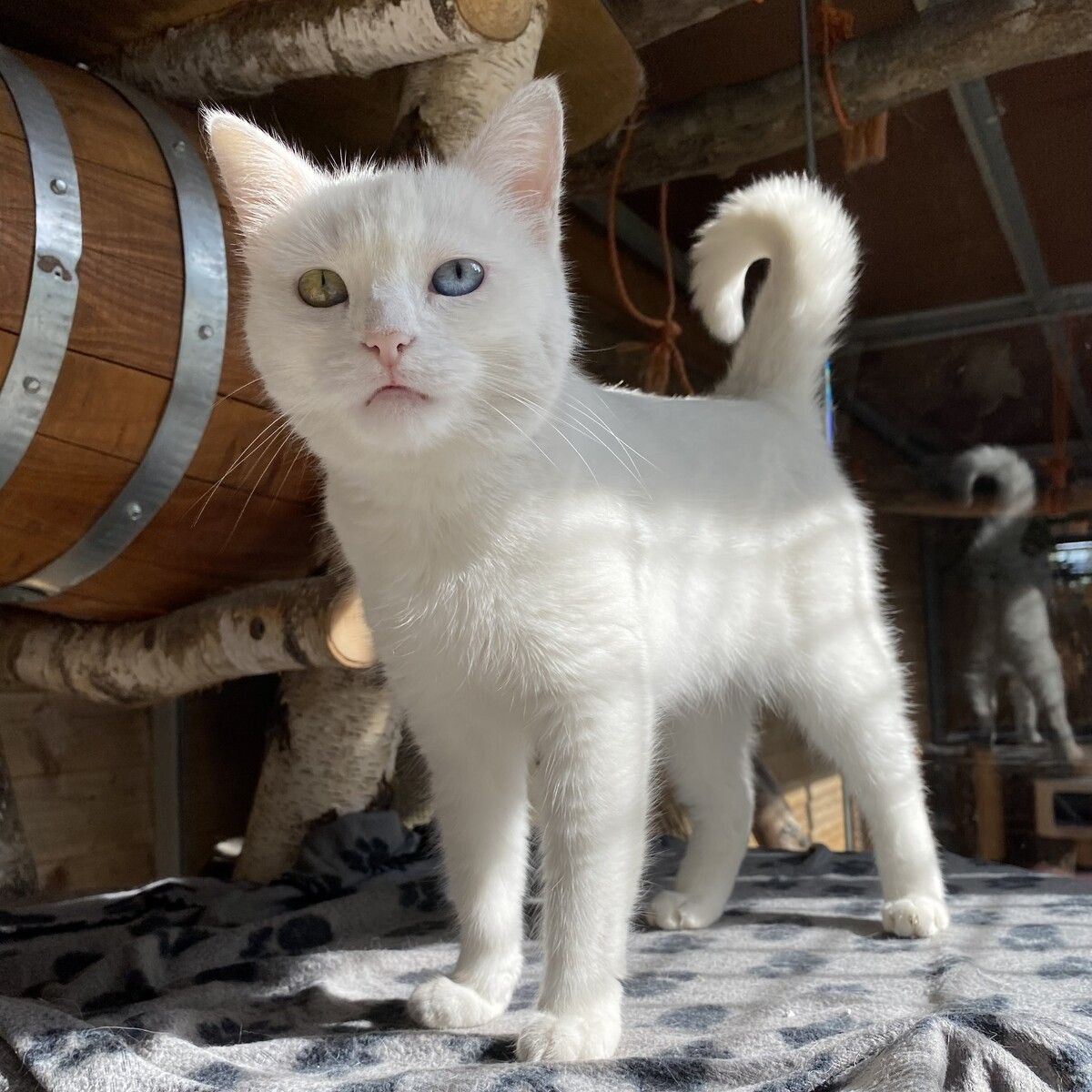 Princess freut sich schon darauf, im Freien zu toben.