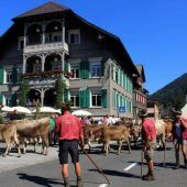 Käse, Kühe und Alpen in Alberschwende