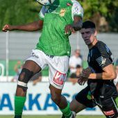 Erfolgserlebnisse für Austrias Nationalspieler