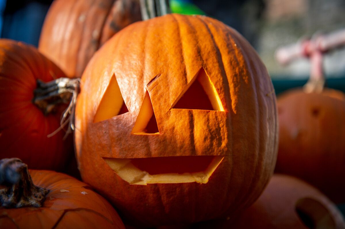 Am Samstag findet im Vereinshaus in Göfis die Halloween-Party für die ganze Familie statt.vn/rhomberg