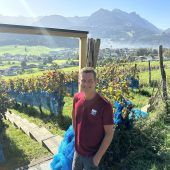 Weinbau im Dreiklang