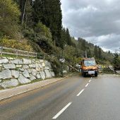 Föhnsturm in Tirol: 86-Jähriger von umstürzendem Baum erschlagen