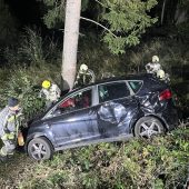Auto kam von Straße ab