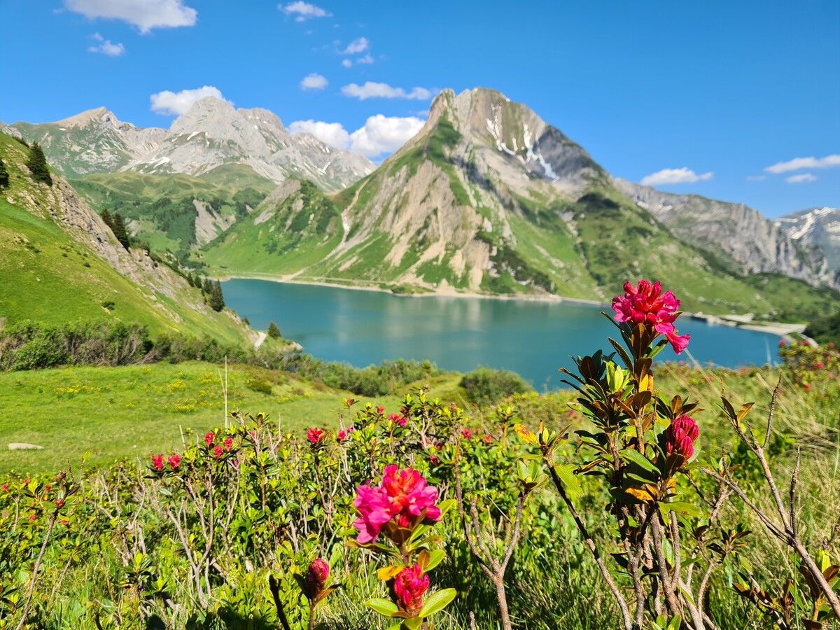 Der Spullersee besticht mit einer eindrucksvollen Kulisse.vn/jun