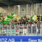 Hat die Austria ein Fanproblem?