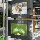 Vernissage der Dornbirner Naturfreunde