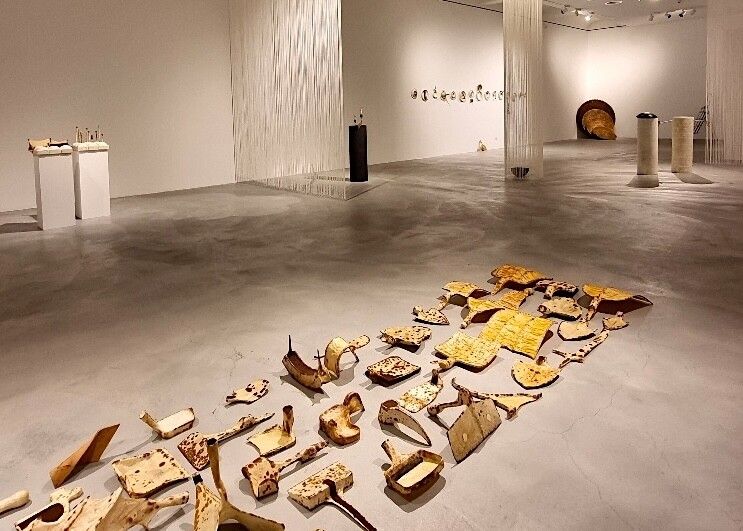 Die beiden Objektkünstlerinnen Maria Jansa und Uta Belina Waeger stellen im Kunstraum Liechtenstein ihre Werke aus. maria jansa