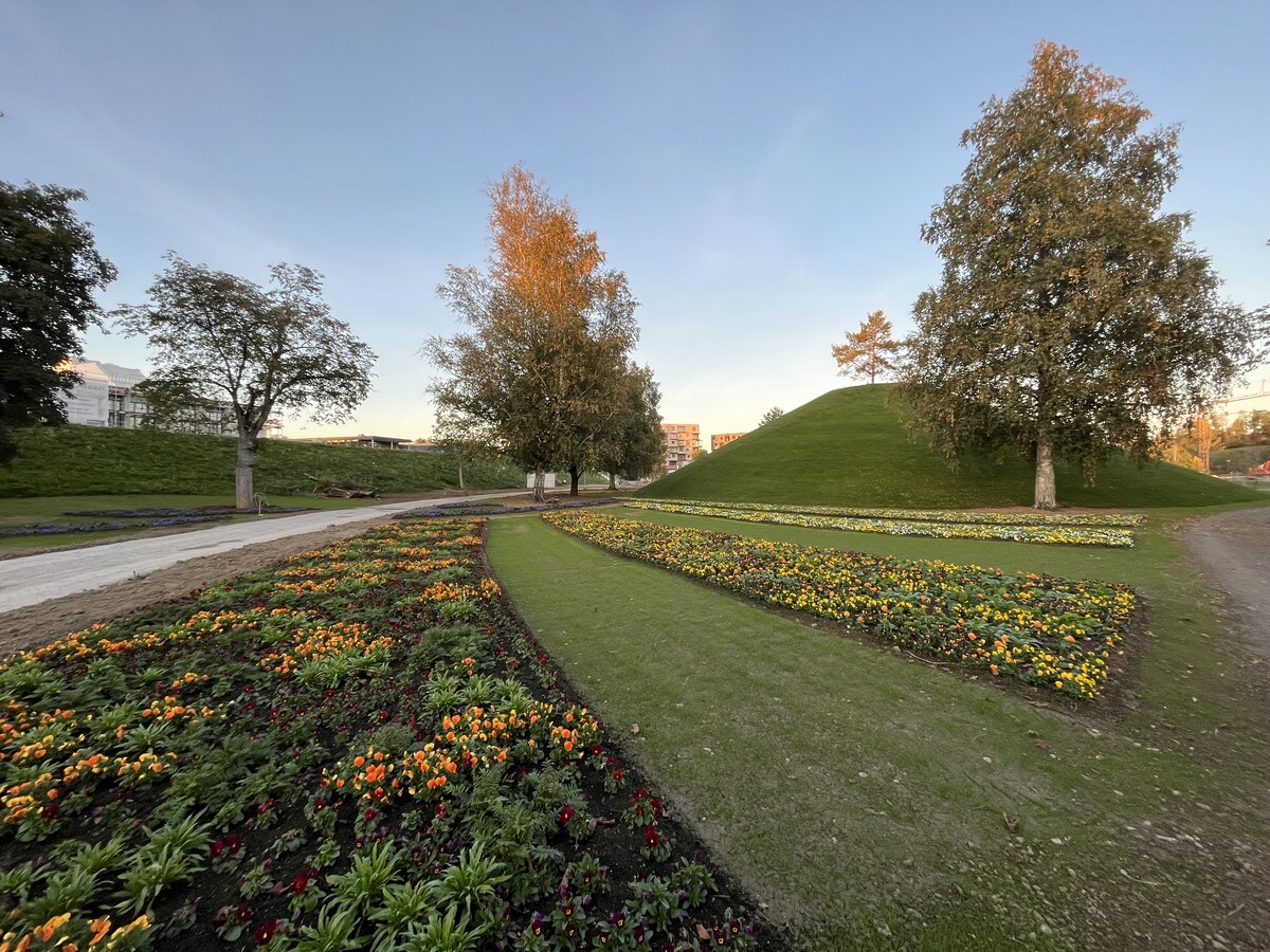 Die ersten Blumen blühen bereits und geben einen Vorgeschmack auf das kommende Jahr. VN/Plesch