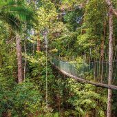 Taman Negara Nationalpark