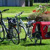 Stadt Dornbirn bittet um Ideen für besseren Radverkehr