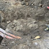 Mauerreste gefunden