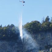 Feuer  im Wald