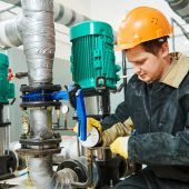 „Green Skills“ sind gefragte Kompetenzen