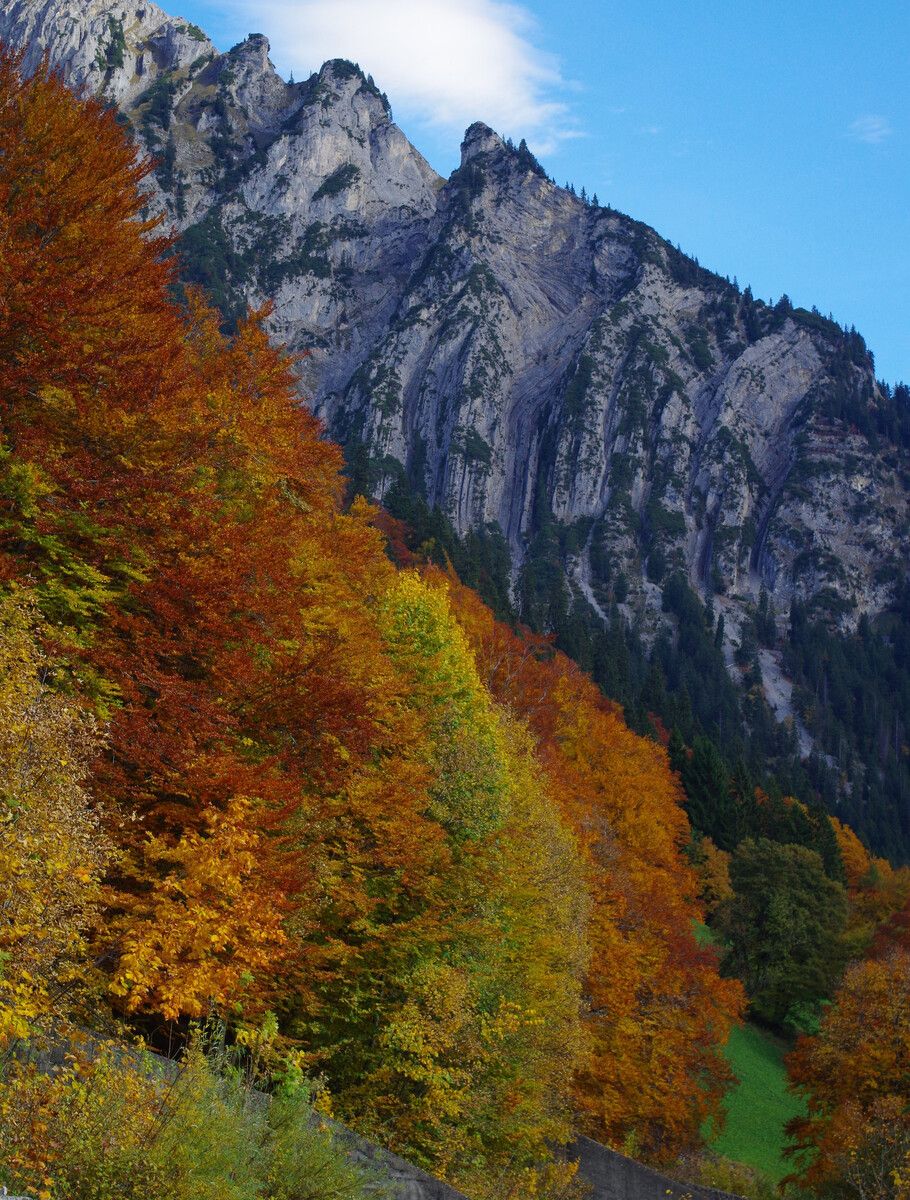 Im Bereich des Klostertals liegen Teile des Natura-2000-Gebiets Verwall, des größten zusammenhängenden Schutzgebiets in Vorarlberg. verein
