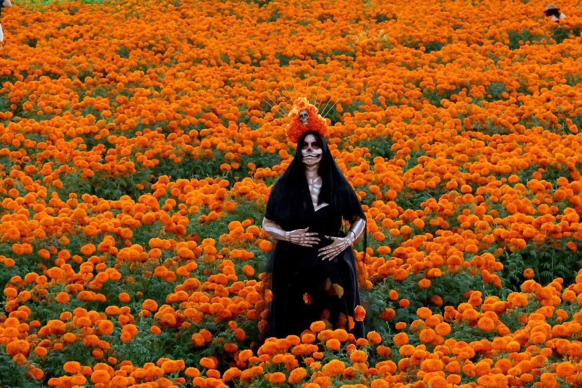 Im Vorfeld der Feierlichkeiten zum „Tag der Toten“ in Mexiko posiert eine Frau in einem Feld aus Ringelblumen in Tlajomulco de Zúñiga. AFP